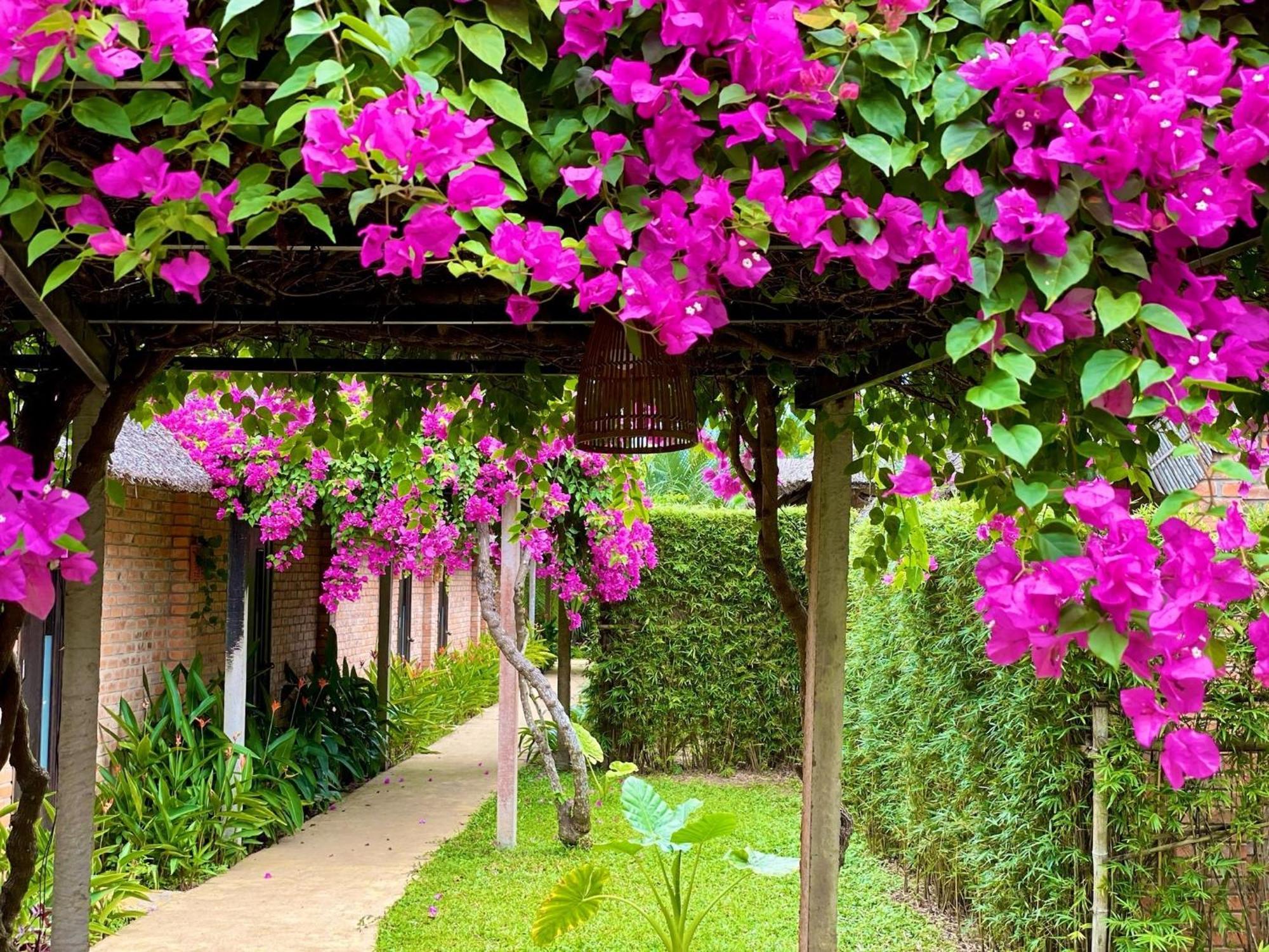 Enso Retreat Hoi An - Rediscovery & Serenity ภายนอก รูปภาพ